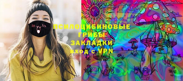 ПСИЛОЦИБИНОВЫЕ ГРИБЫ Балахна