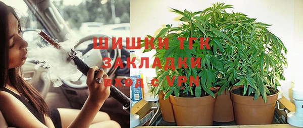 ПСИЛОЦИБИНОВЫЕ ГРИБЫ Балахна