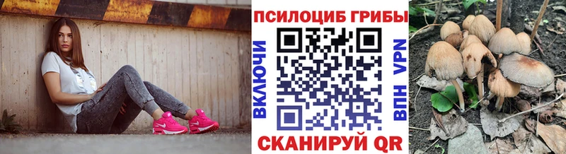 Псилоцибиновые грибы Cubensis Сковородино