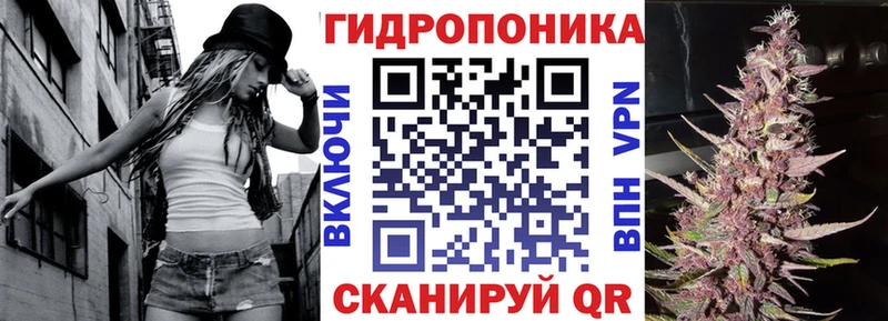Бошки марихуана гибрид  KRAKEN вход  Сковородино  сколько стоит 